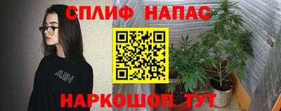 ПСИЛОЦИБИНОВЫЕ ГРИБЫ Бузулук