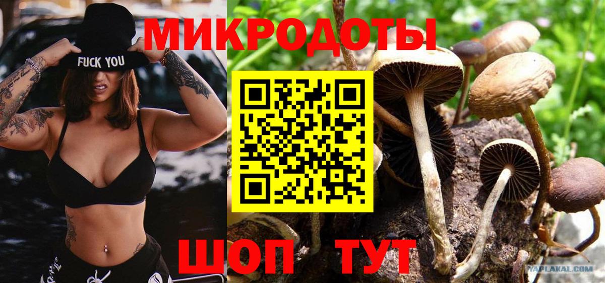 Псилоцибиновые грибы Psilocybe Красный Сулин