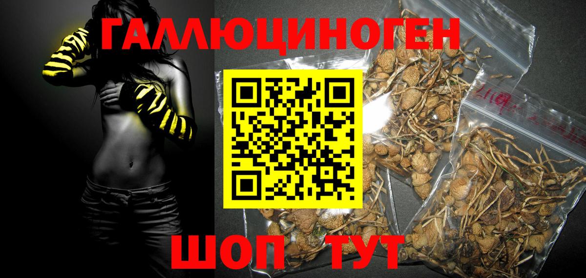 ТГК  ЭКСТАЗИ  МАРИХУАНА  APVP СОЛЬ кристаллы  Вход с VPN  Мефедрон   Красный Сулин  ГАШ  ГАШ  Кокаин 